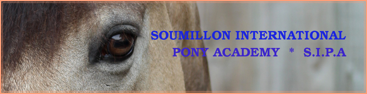 SOUMILLON INTERNATIONAL